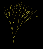 Miva Index: balanced binary tree